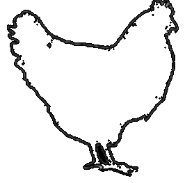 Combs Café chicken logo